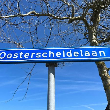 Vakantiehuis Met Luxe Tuin Dichtbij Het Strand Kamperland Zewnętrze zdjęcie